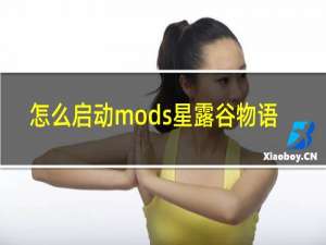 怎么启动mods星露谷物语