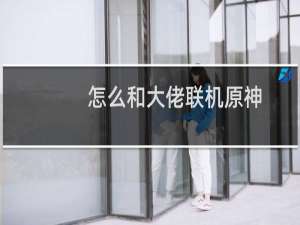 怎么和大佬联机原神