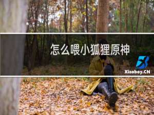怎么喂小狐狸原神