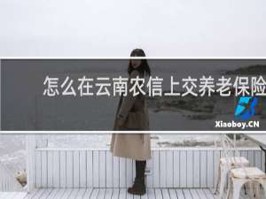 怎么在云南农信上交养老保险