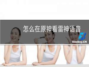 怎么在原神看雷神语音