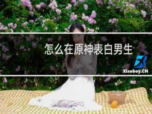 怎么在原神表白男生