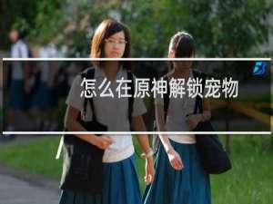 怎么在原神解锁宠物