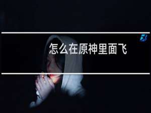 怎么在原神里面飞