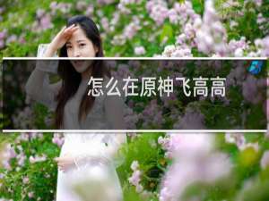 怎么在原神飞高高