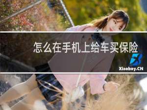 怎么在手机上给车买保险