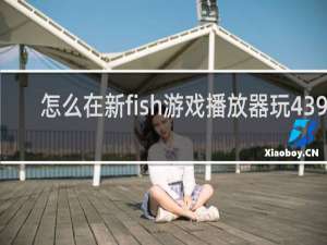 怎么在新fish游戏播放器玩4399
