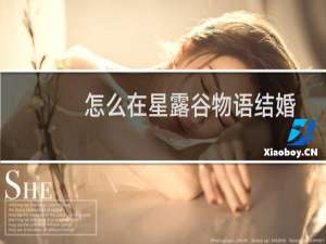 怎么在星露谷物语结婚