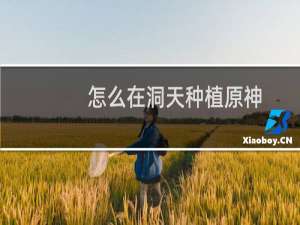怎么在洞天种植原神