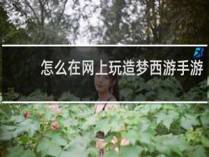 怎么在网上玩造梦西游手游