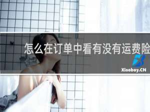 怎么在订单中看有没有运费险