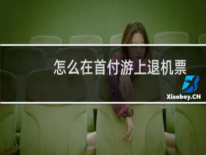怎么在首付游上退机票