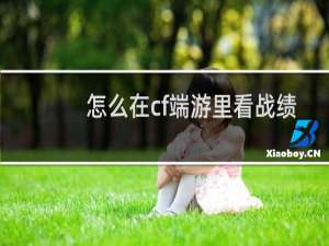 怎么在cf端游里看战绩