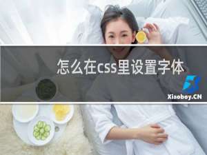 怎么在css里设置字体