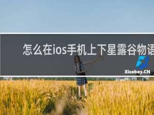 怎么在ios手机上下星露谷物语