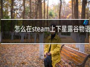 怎么在steam上下星露谷物语