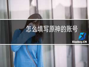 怎么填写原神的账号