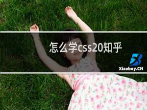 怎么学css 知乎