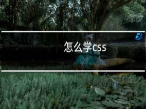 怎么学css