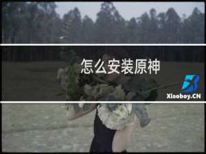 怎么安装原神