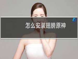 怎么安装翅膀原神