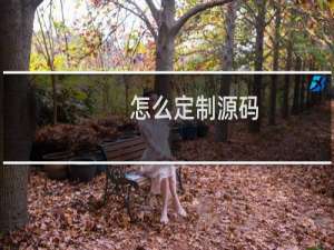 怎么定制源码