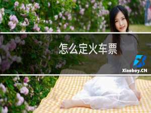 怎么定火车票