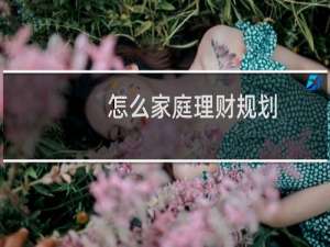 怎么家庭理财规划