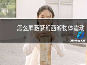 怎么屏蔽梦幻西游物体震动