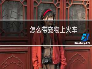 怎么带宠物上火车