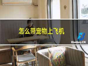 怎么带宠物上飞机