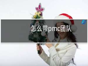 怎么带pmc团队