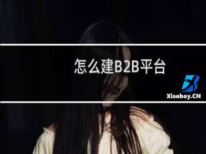 怎么建B2B平台