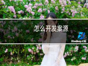 怎么开发案源