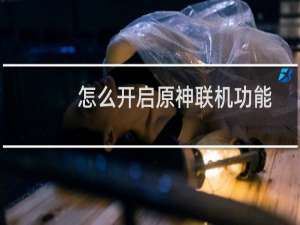 怎么开启原神联机功能