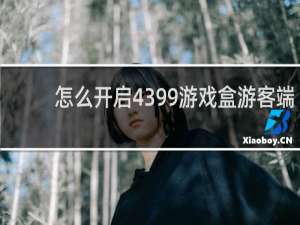 怎么开启4399游戏盒游客端