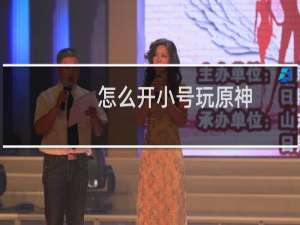 怎么开小号玩原神