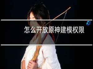 怎么开放原神建模权限