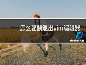 怎么强制退出vim编辑器