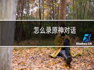怎么录原神对话