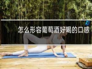 怎么形容葡萄酒好喝的口感
