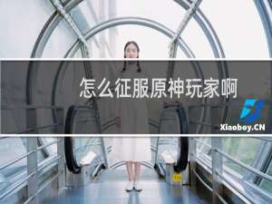 怎么征服原神玩家啊