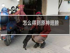 怎么得到原神翅膀