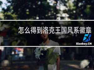 怎么得到洛克王国风系徽章