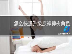 怎么快速升级原神神树角色