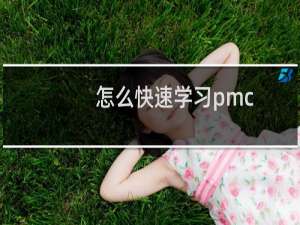 怎么快速学习pmc