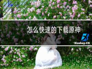 怎么快速的下载原神