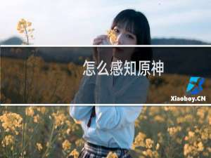 怎么感知原神