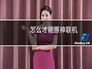 怎么才能原神联机