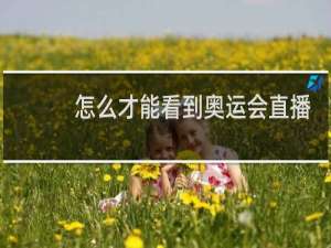 怎么才能看到奥运会直播
